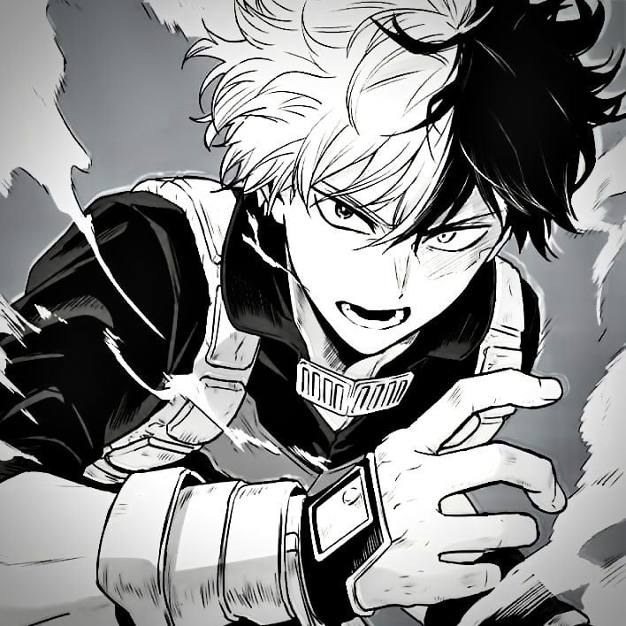 Shoot Todoroki