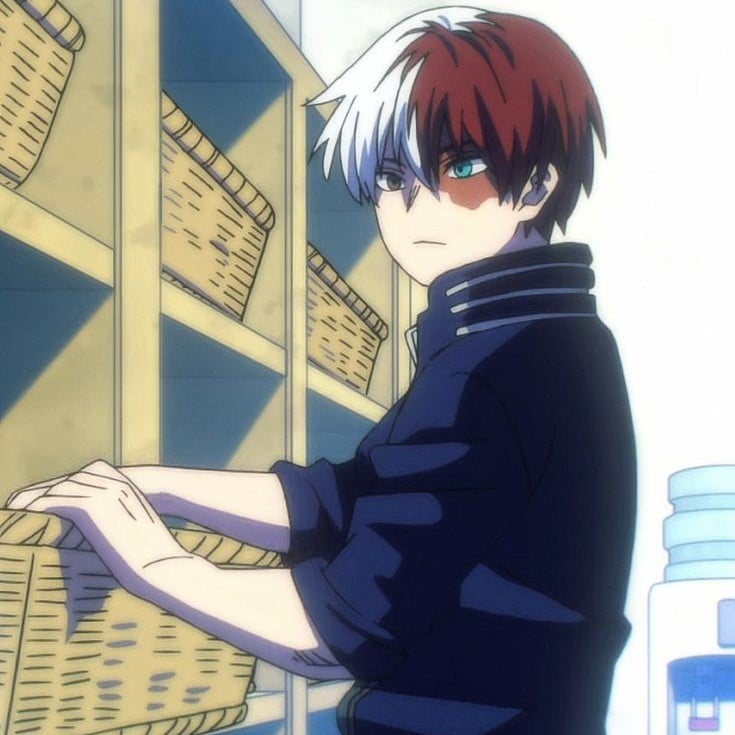 ❄️shot Todoroki (bl)🔥