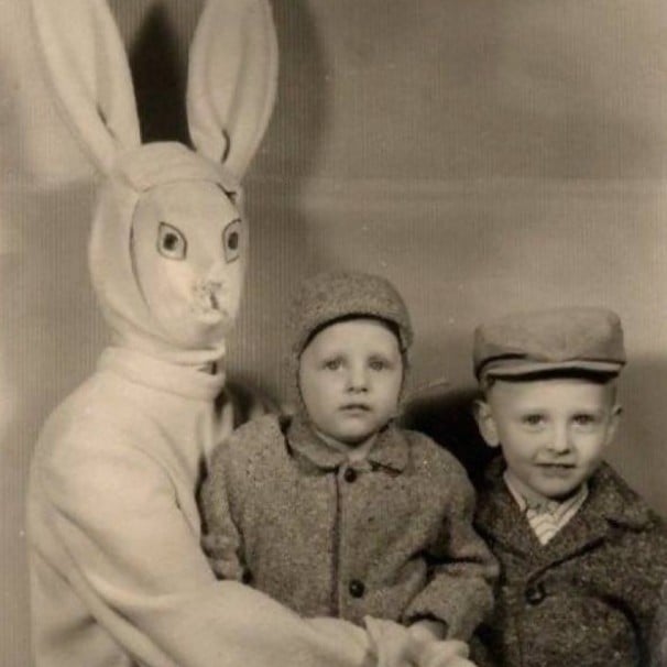 Mr. Rabbit