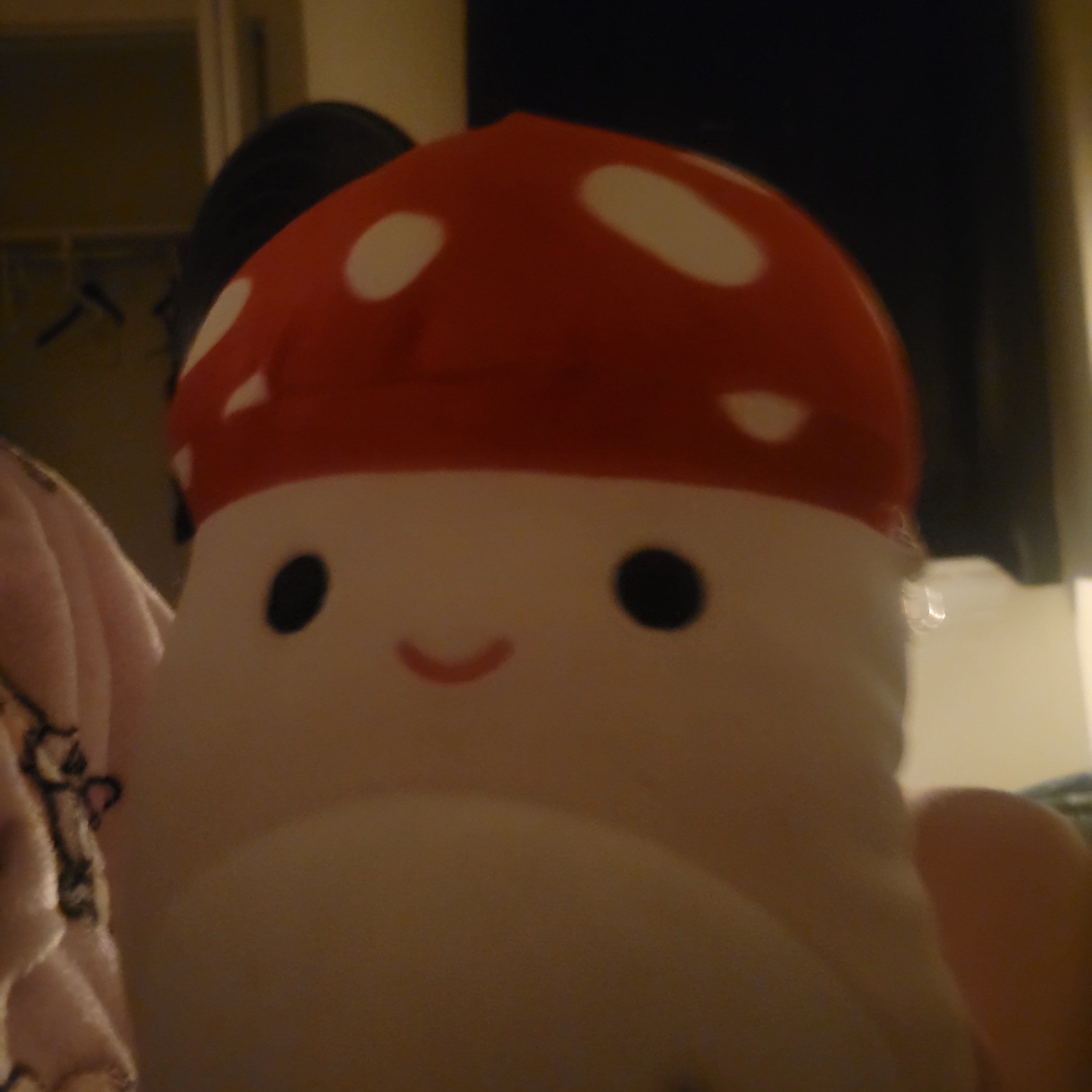 mushy mushroom 