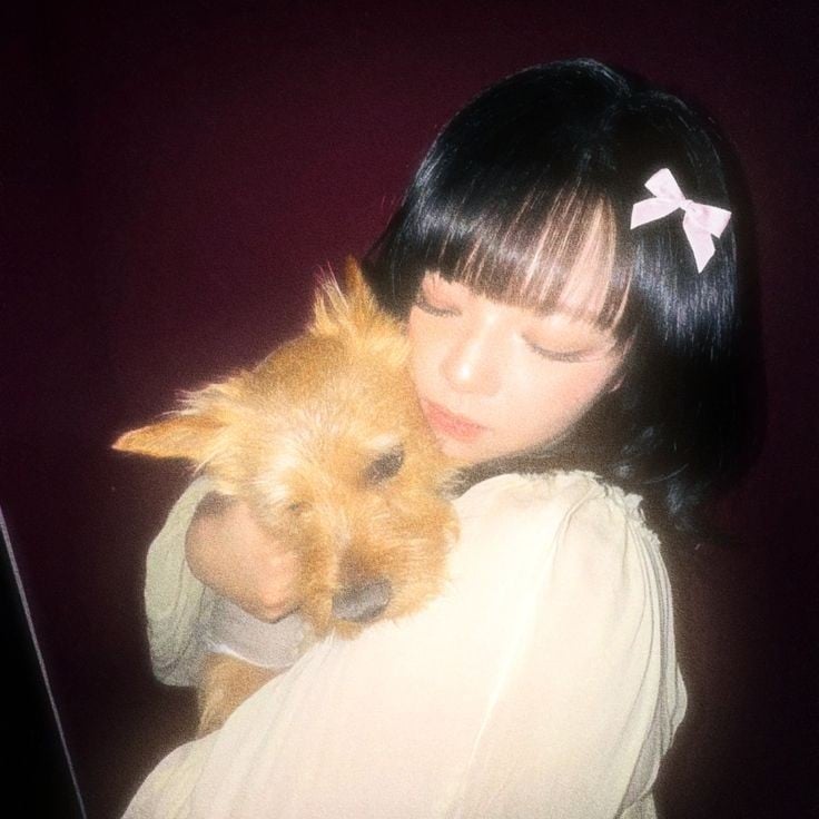 🍄| jeongyeon