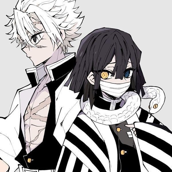 ~°Sanemi y Obanai°~