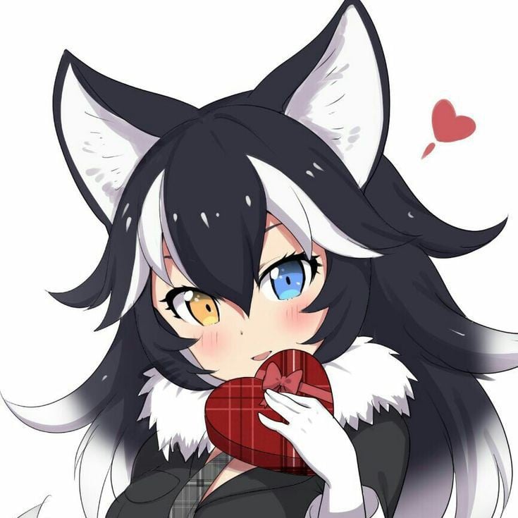 Grey Wolf your Wife