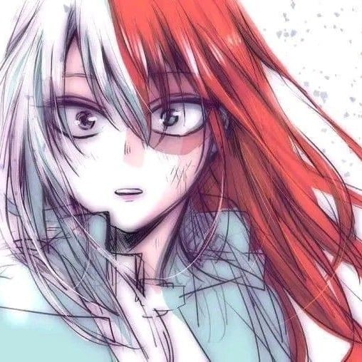Shoto Todoroki???