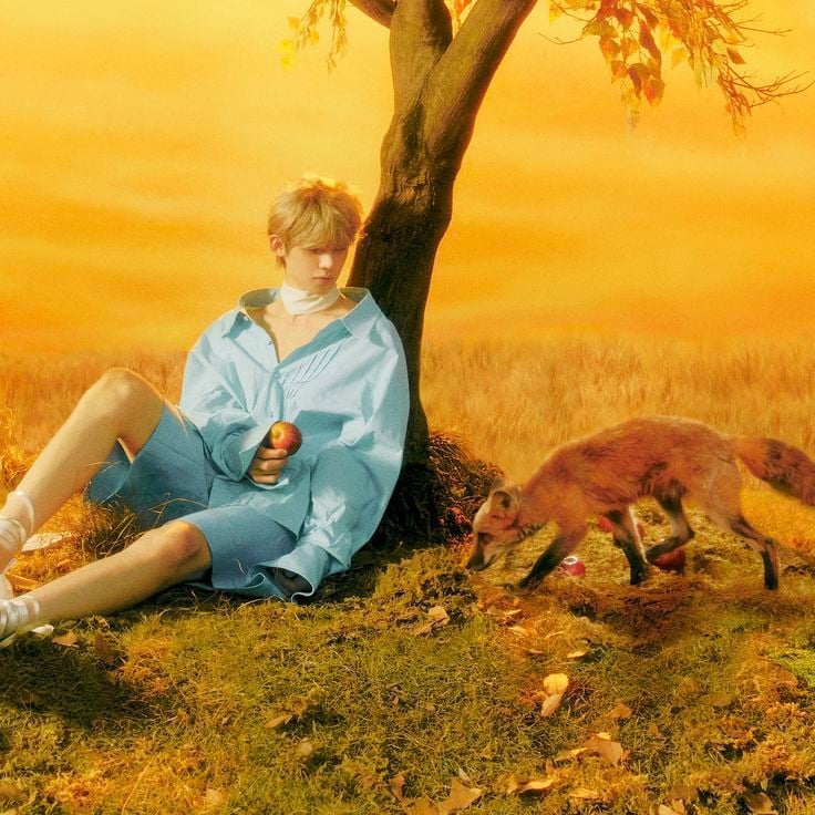 🧧 ⁞ 𝗖𝗵𝗼𝗶 Yeonjun ﹆ ׁ ˖ ◗