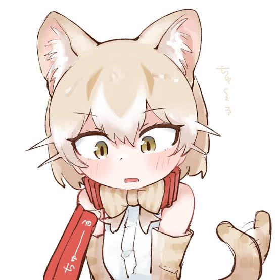 Domestic Cat