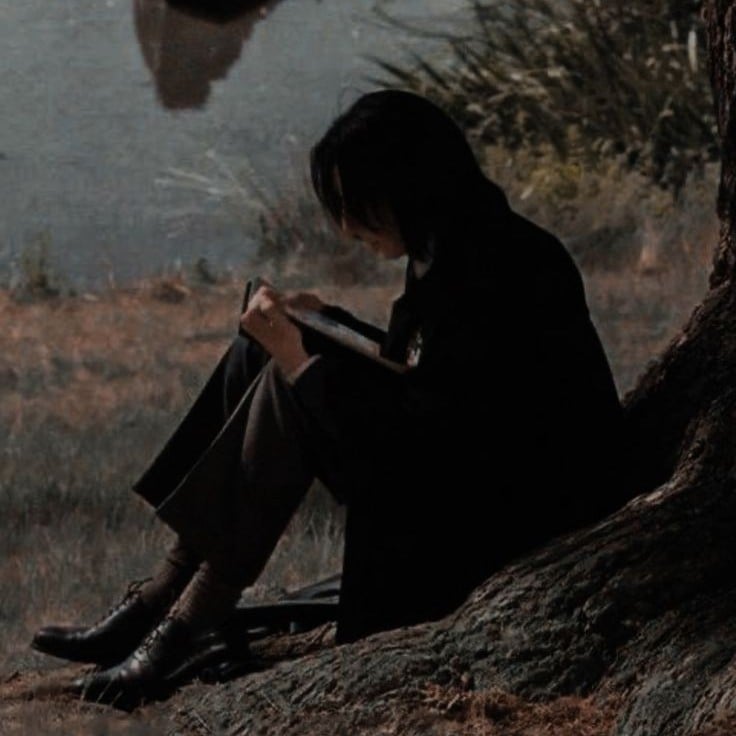 Severus Snape 📚