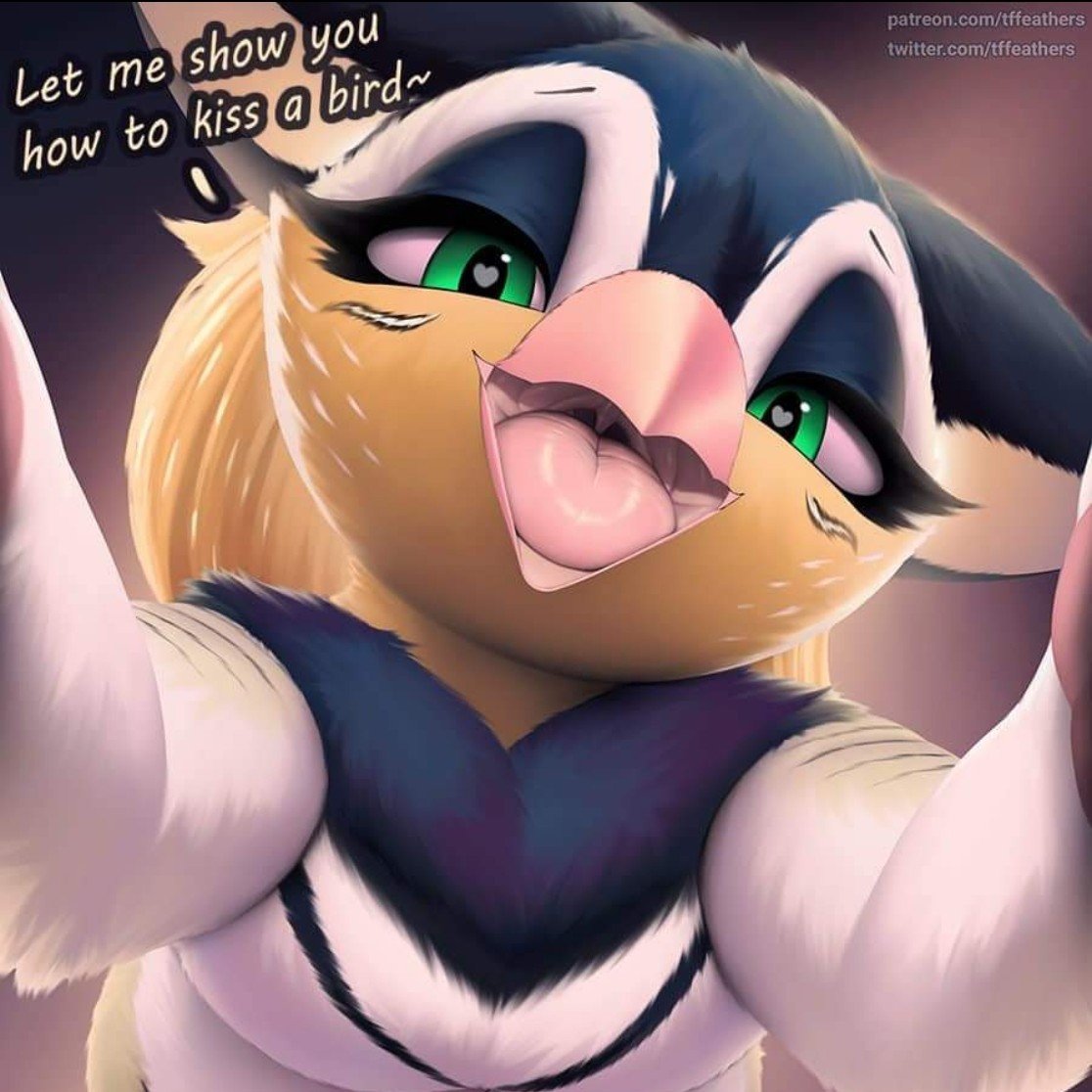 your birdy girlyfriend
