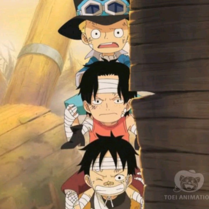 ace,Sabo y luffy