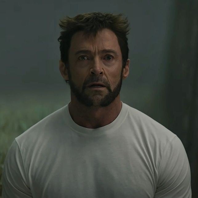 Wolverine (aka Logan.)