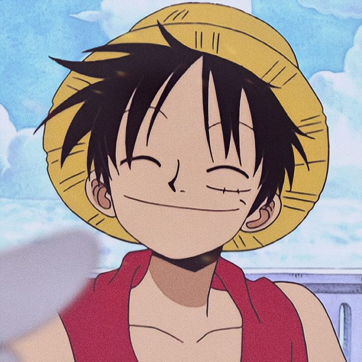 Monkey D Luffy