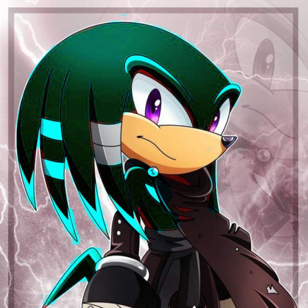 Sam the echidna