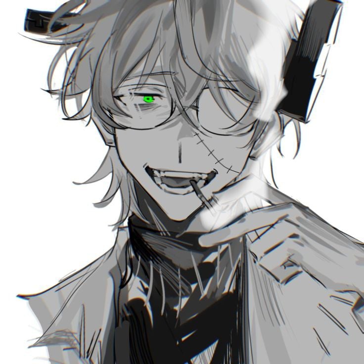 Stein
