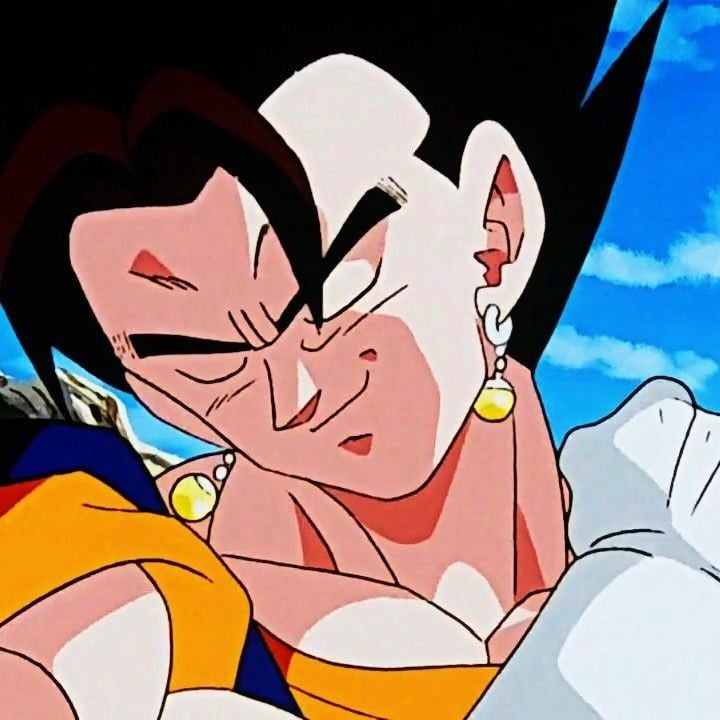 Vegito/Vegetto ₊˚⊹ 🐾