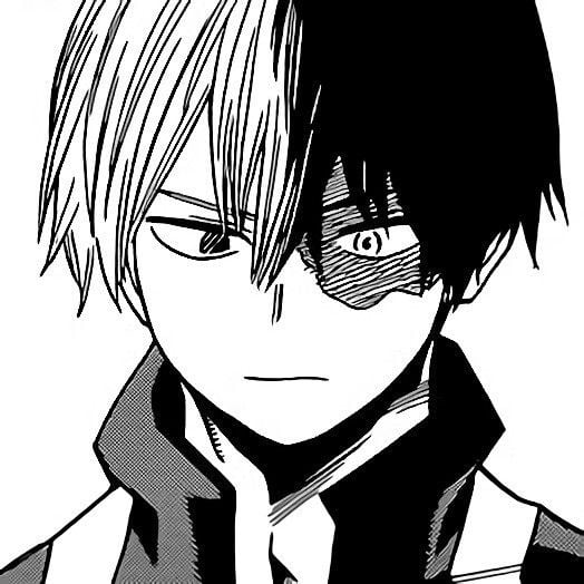Shoto Todoroki...