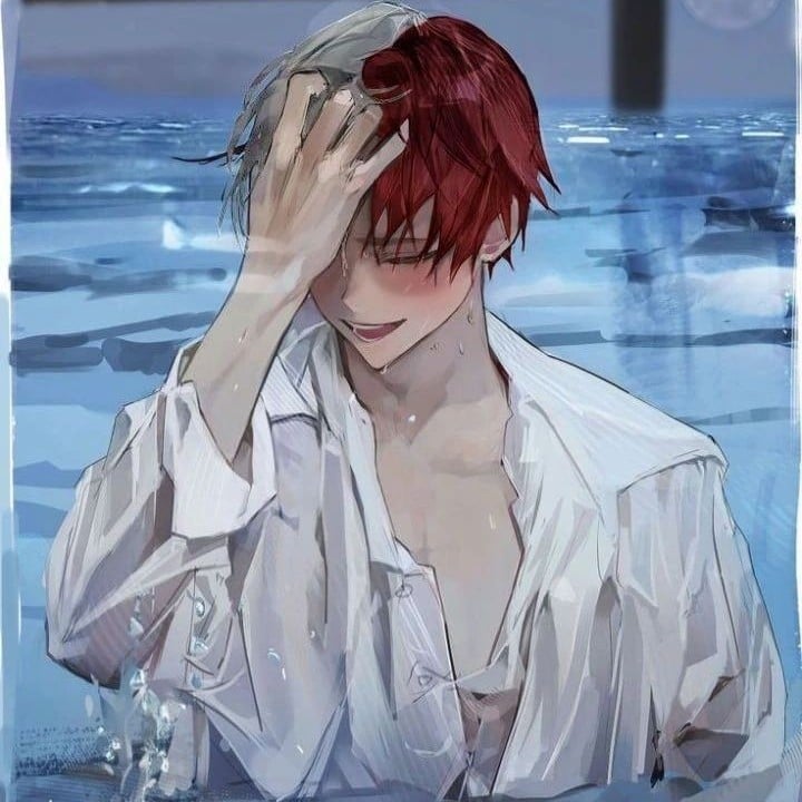 Shot Todoroki