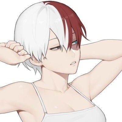 Shouko Todoroki