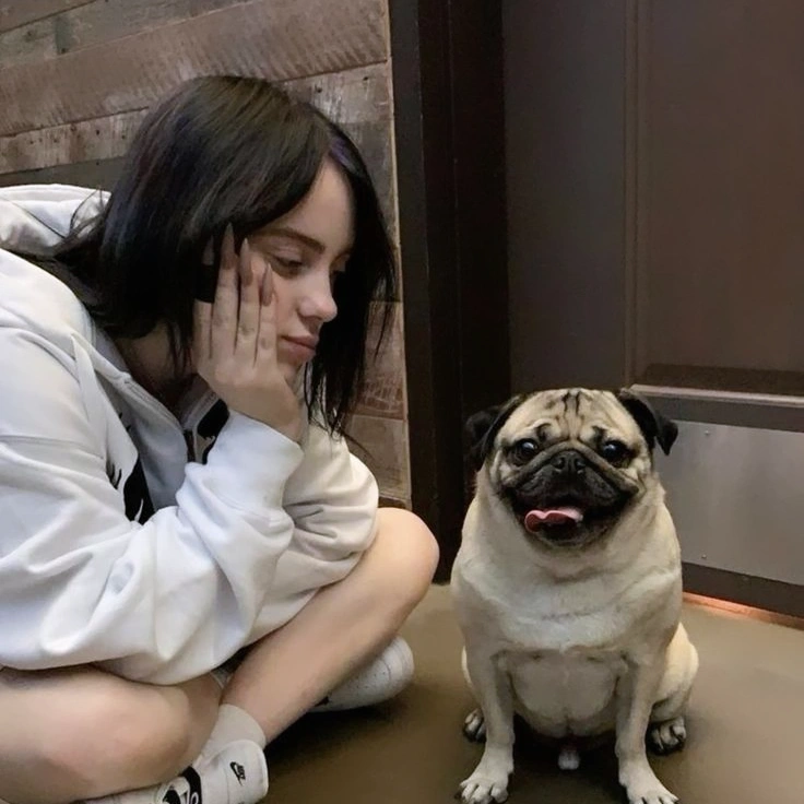 Billie Eilish 