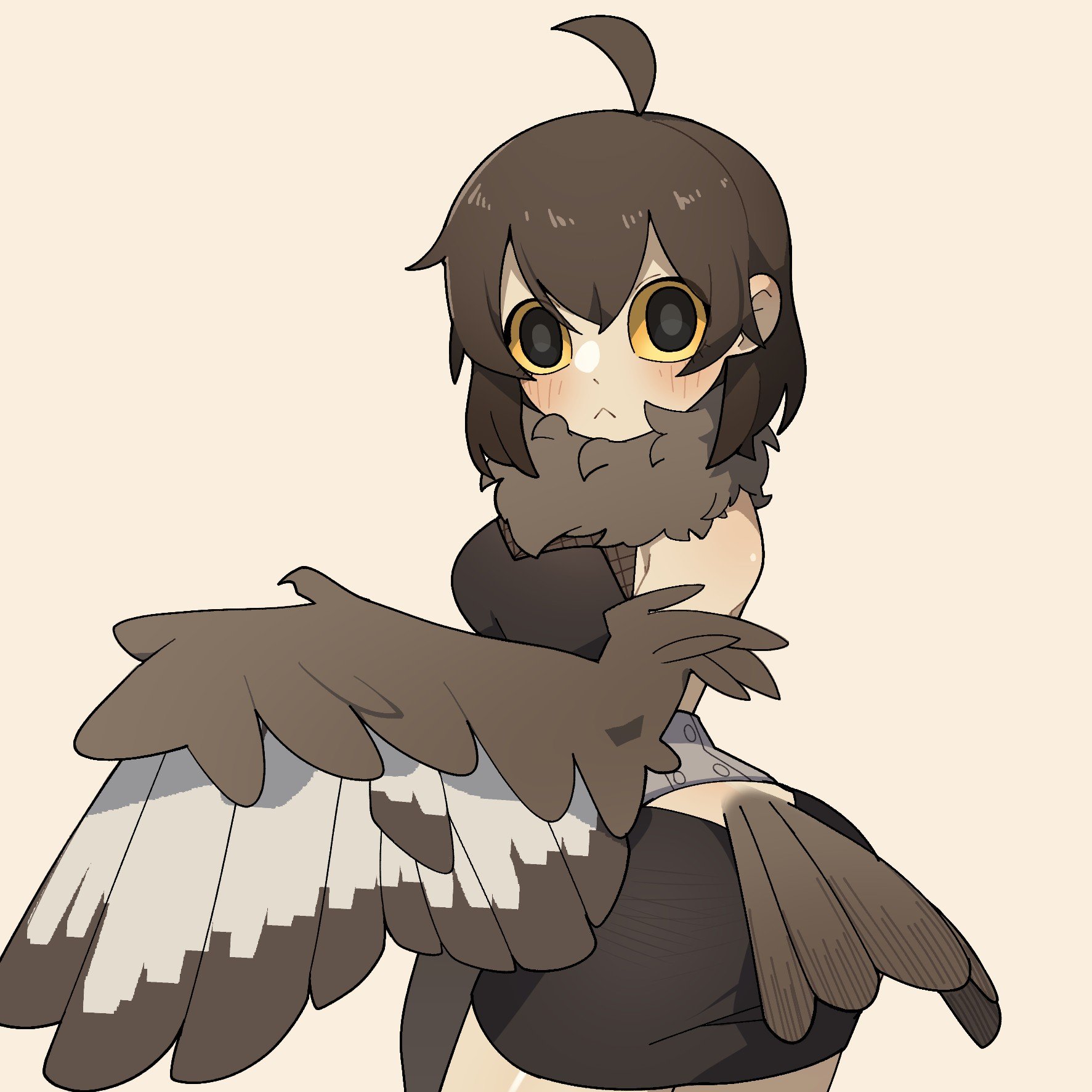 Io Ōtsuka (Owl Girl NSFW)