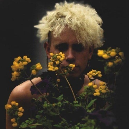Martin Lee Gore