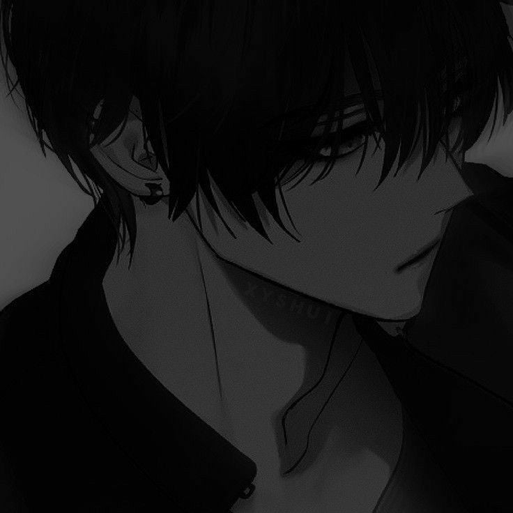 Wine - BL