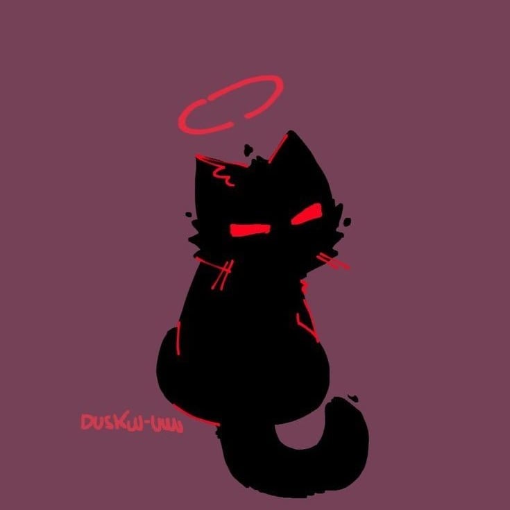 Auditor 🐈 - Madnnes Combat