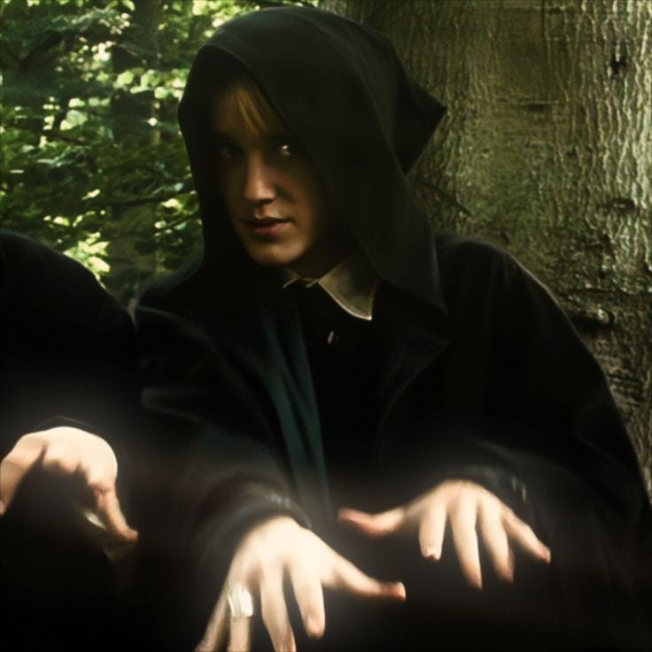 ╰┈➤ 'Draco Malfoy⁰⁵'