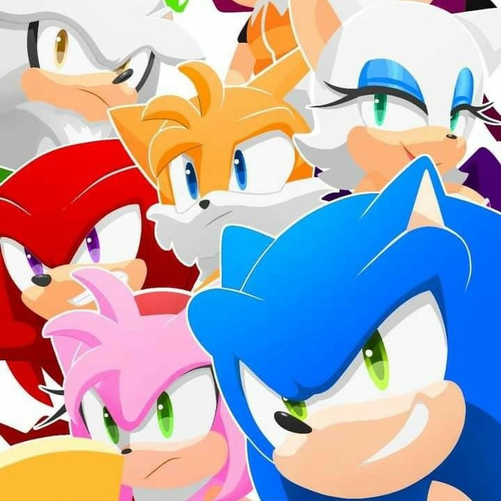 Sonic And Friends
