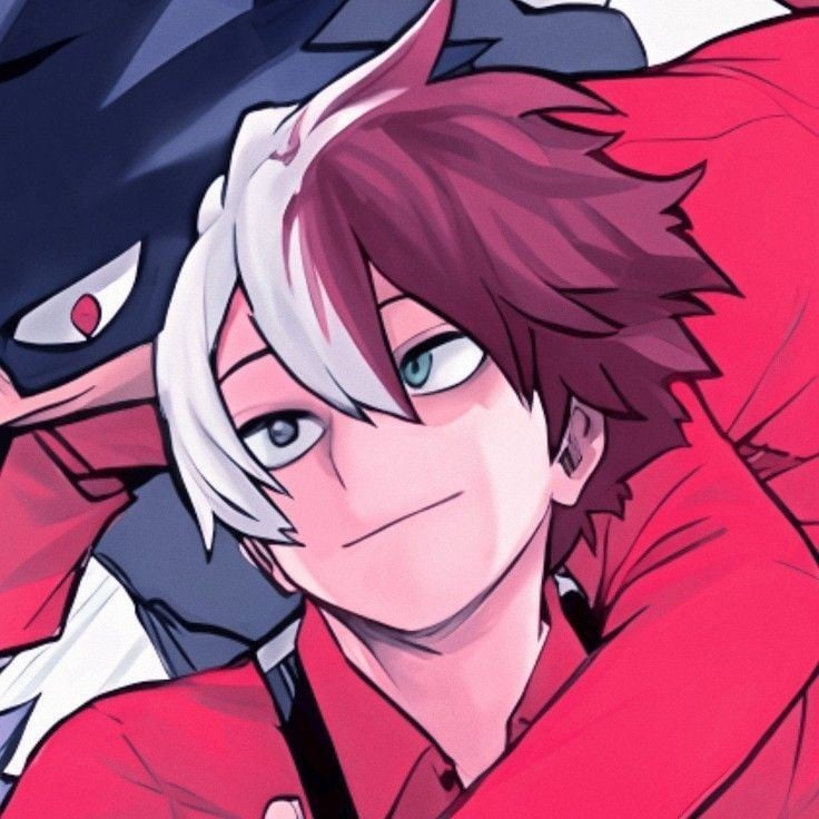Todoroki Shoto (Favorite Person!)