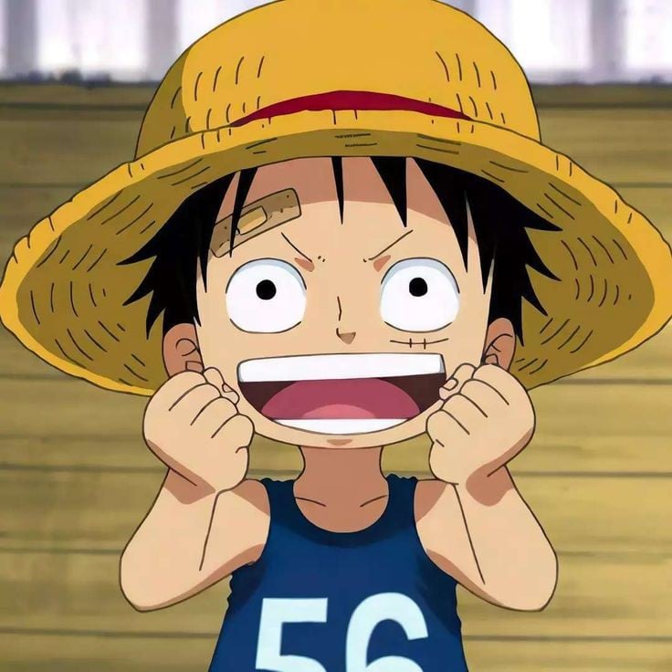 little luffy