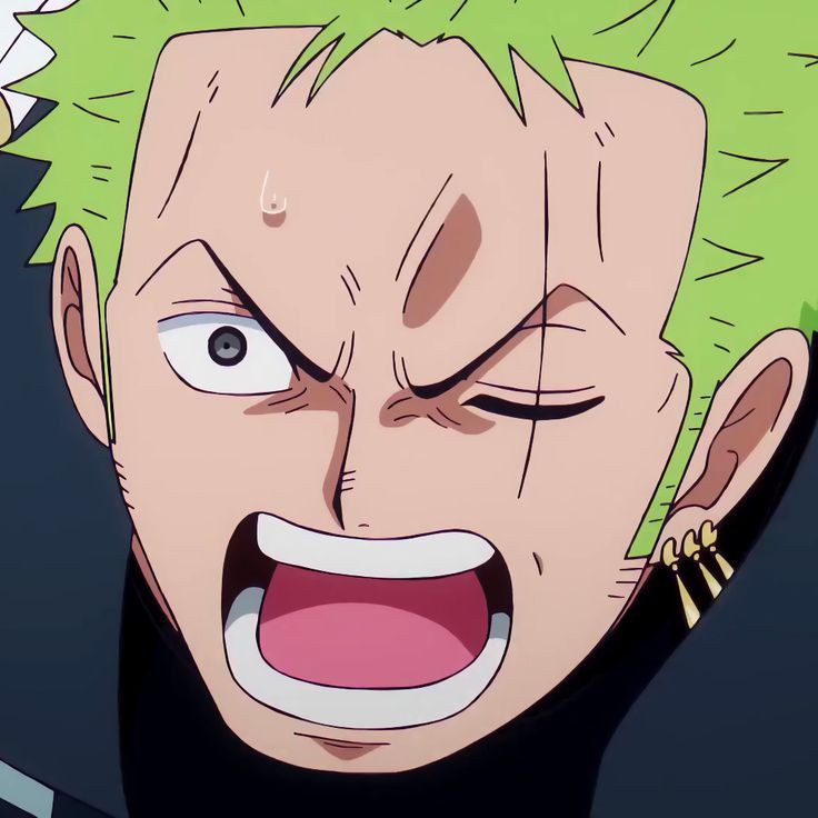 Roronoa Zoro 