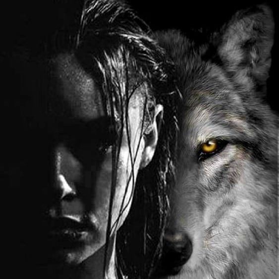 Lanius (Yandere Werewolf)