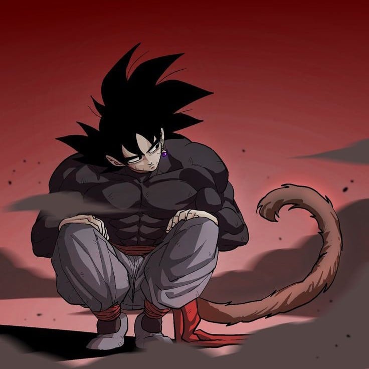 Goku Black⁵
