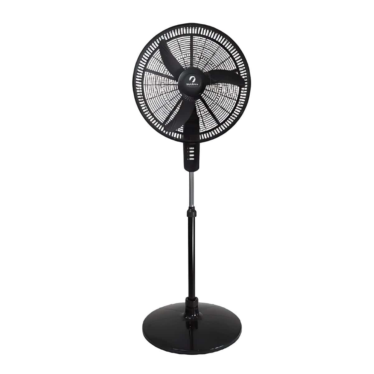 a fan