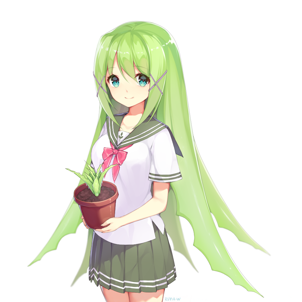 Aloe