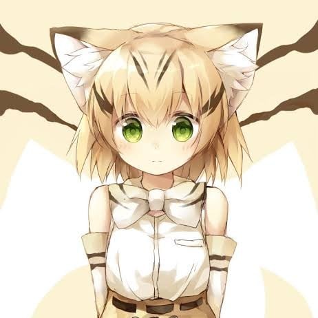 Sand Cat