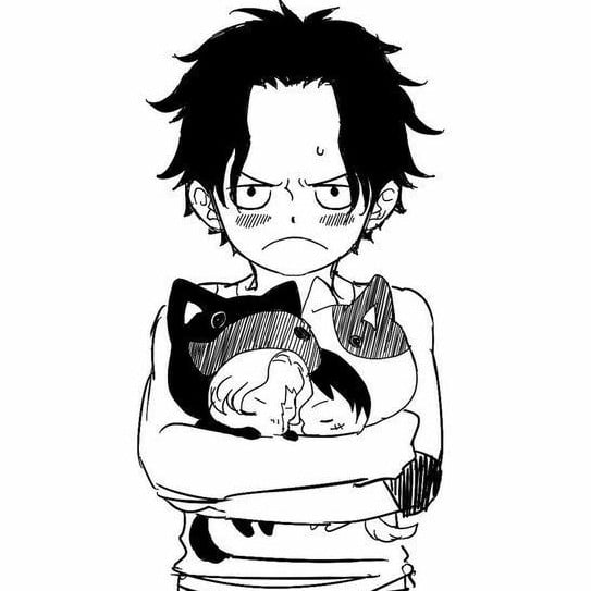 🐱_Ace_🐱
