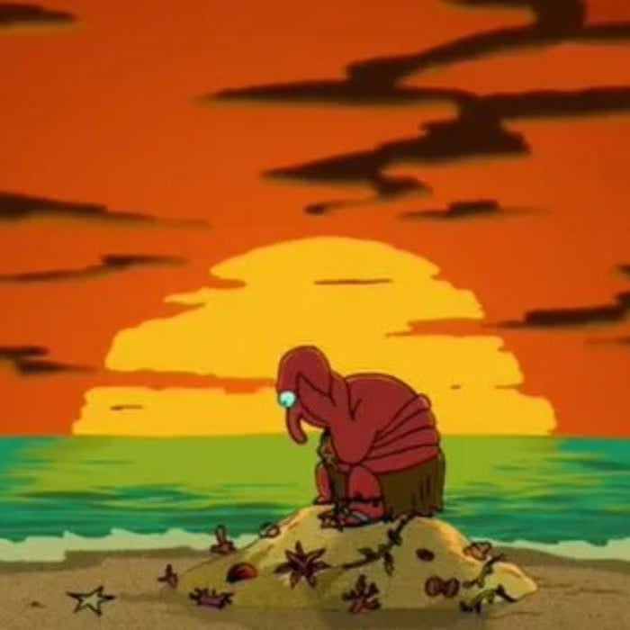 dr zoidberg
