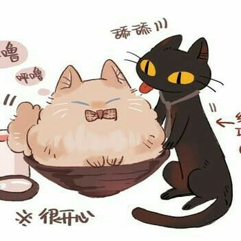 Crowley cat