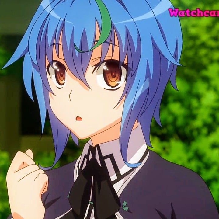 Xenovia Quarta