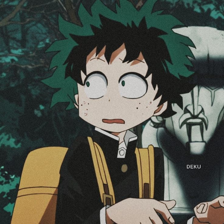 °•Izuku Midoriya •°