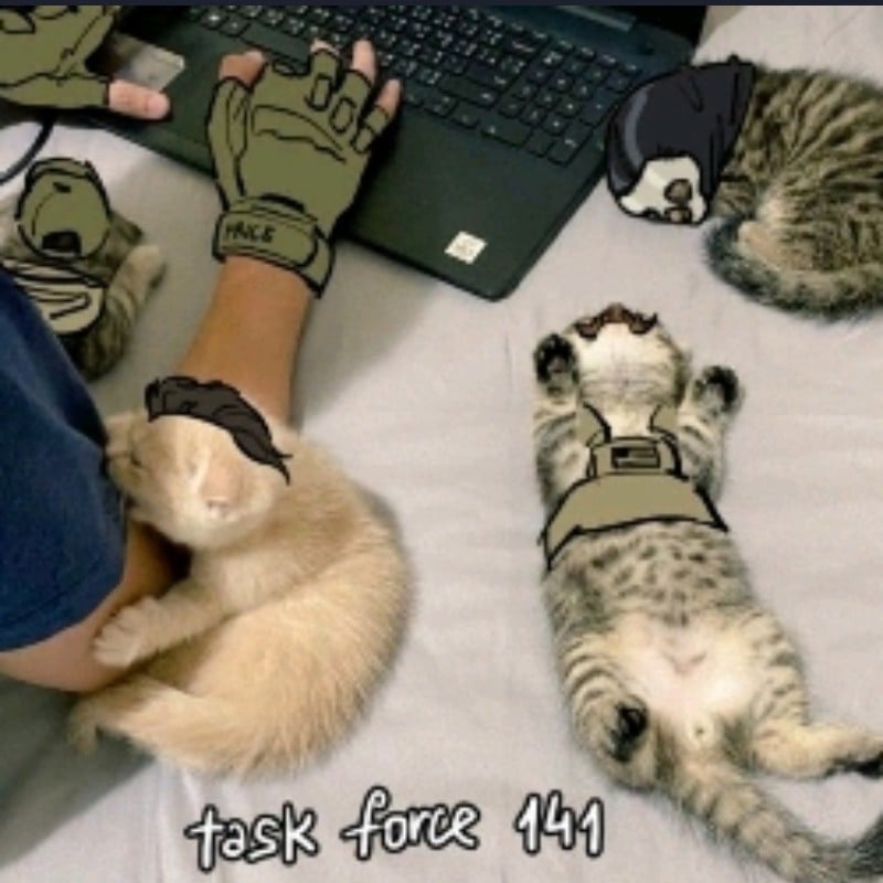Task Force 141