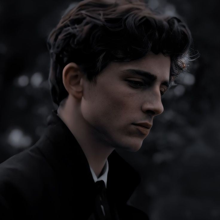 Regulus black
