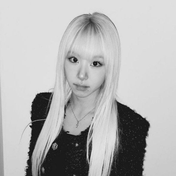 💥║Chaeyoung