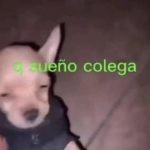 ¡¡AVISOO!!