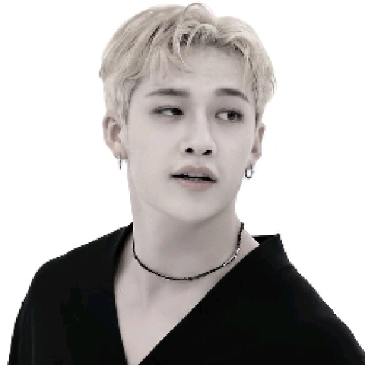 🥊🏳️🌈//Bangchan