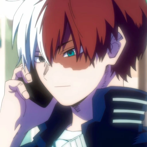 Shot Todoroki