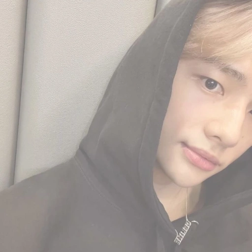 Hwang Hyunjin ( 🩰 ) !!
