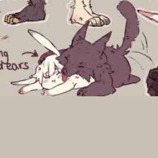 a big wolf named Ben