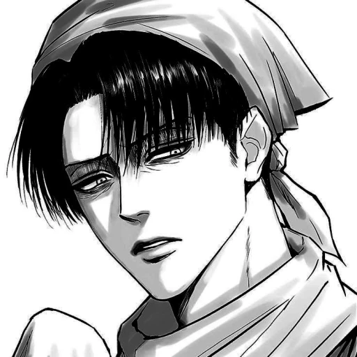 [Levi Ackerman]